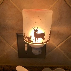 Scentsy plug in